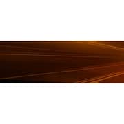 PS3 Tomb Raider Game Of The Year Game