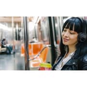 JBL Tune 530 Wired Over Ear Headphones Black