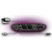 iFi ZEN CAN Studio High-Performance Headphone Amplifier