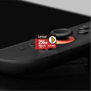 Lexar PLAY PRO MicroSDXC Express Memory Card 256GB - LMSXPS0256G-BNNNG