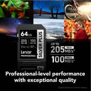 Lexar Professional Silver Plus SDXC UHS-I Memory Card 64GB - LSDSIPL064G-BNNNG
