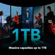 بطاقة ذاكرة ليكسار بروفيشنال سيلفر CF إكسبريس 4.0 يدعم Type B سعة 1 تيرابايت LCXEXS4001T-RNENG