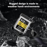 Lexar Professional GOLD CFexpress 4.0 Type B Memory Card 512GB - LCXEXP4512G-RNENG