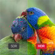 Unitek DisplayPort 1.4 Cable 3m Black - C1624BK-3M