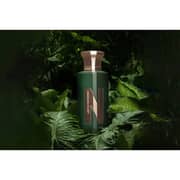 Naseem Lost in the Woods Perfume For Men and Women 75ml Eau De Parfum - 6295253054823
