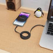 Infinyty Mag Loop Type C Cable 1m Black - MWFMO1B