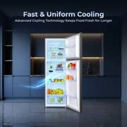 SPJ Top Mount Refrigerator 249L Dark Silver - POSH-TMSW350C