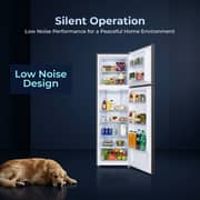 SPJ 286L Frost Free Double Door Refrigerator, Top Mount Freezer, Energy Efficient, Adjustable Glass Shelves, LED Light, Powerful Compressor, Low Noise, Dark Silver
