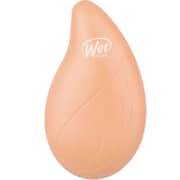Wet Brush Go Green Orange Coconut Oil Hair Detangler (Pack of 1)