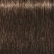 Indola PCC Hair Color Dark Blonde Natural 6.0 60ml (Pack of 1)