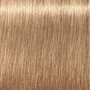 Indola PCC Light Blonde Intense Gold 8.03 Hair Color 60ml (Pack of 1)