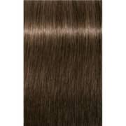 Indola PCC Dark Blonde Intense 6.0+ Hair Color 60ml (Pack of 1)