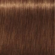 Indola PCC Dark Blonde Gold 6.3 Hair Color 60ml (Pack of 1)