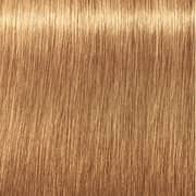Indola PCC Light Blonde Gold 8.3 Hair Color 60ml (Pack of 1)