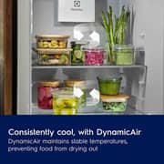 Electrolux Upright Refrigerator 310L White - LRD6DC18R9