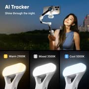مثبت كاميرا إنستا 360 فلو 2 برو لون رمادي INST-CINSABQB-AIGRY