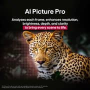 LG 65 Inch OLED evo AI CS5 4K 120Hz Smart TV with AI Magic Remote & AI Picture Pro webOS25 2025 - OLED65CS5VA
