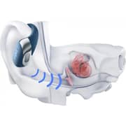 Shokz OpenFit 2+ True Wireless Earbuds Stone Blue