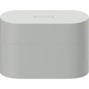 Sony WF1000XM6 The Best Truly Wireless Earbuds Platinum Silver