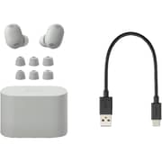 Sony WF1000XM6 The Best Truly Wireless Earbuds Platinum Silver