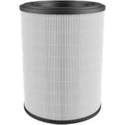 Electrolux HEPA H13 Filter - EFFCLN4