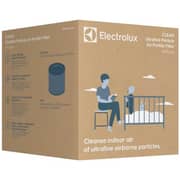 Electrolux HEPA H13 Filter - EFFCLN4