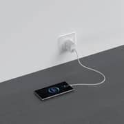 Riversong PowerKub Wall Charger With USB-C - USB-C Cable White - AD135T