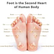 Zero Beyond Wellness D Medi Foot Massager