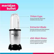 Meridian Bullet Blender - MB450