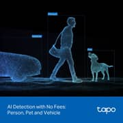 Tapo C545D Outdoor Dual Lens Security Camera
