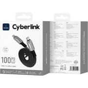Wiwu Cyberlink Series USB-C to USB-C Cable 1m Tarnish - WI-C078