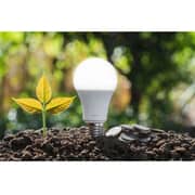 Xiaomi Smart LED Bulb 8.5W - BHR9434GL