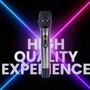 Magic Star Professional UHF Dual Wireless Microphones Grey/Black - DM-882