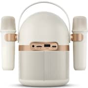 Philips Portable Bluetooth Speaker With 2 Handy Karaoke Microphones White - TAS2509WT/00