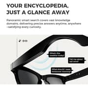 Merlin Ai Vision Pro Clear Glasses With Charging Case Black