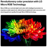 LG 100inch Micro RGB evo AI MRGB95 4K Smart TV Magic Remote Dolby WebOS26, 2026 100MRGB95B6