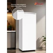 Oscar Single Door Refrigerator 150L White - ORF170RR