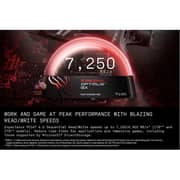 SanDisk Optimus GX7100 Internal SSD 1TB Black - SDSP71100TAN-000E0