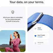 Google Fitbit Air Activity Fitness Tracker Obsidian