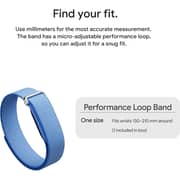 Google Fitbit Air Activity Fitness Tracker Berry