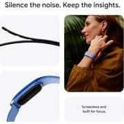 Google Fitbit Air Activity Fitness Tracker Berry