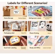 Niimbot B21 Pro Label Maker Printer