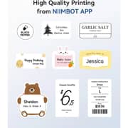 Niimbot B1 Inkless Thermal Label Printer