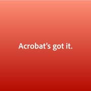 Adobe Acrobat Pro Professional 1 Year Subcription Red