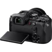 Sony RX10 V Premium Digital High-zoom Camera Black - DSCRX10M5
