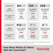 SanDisk Extreme PLUS microSDXC UHS-I Memory Card 256GB Gold/Red - SDSQXBJ-256G-GU6MA