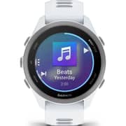 Garmin Forerunner 170 Music Smartwatch Whitestone/Cloud Blue