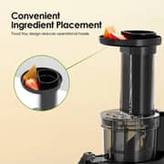 Oraimo EasyJuice Mini Portable Slow Juicer - OMJ-201