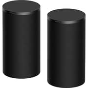 Sony BRAVIA Theater Rear 9 Speaker - SARS9