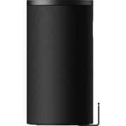 Sony BRAVIA Theater Rear 9 Speaker - SARS9